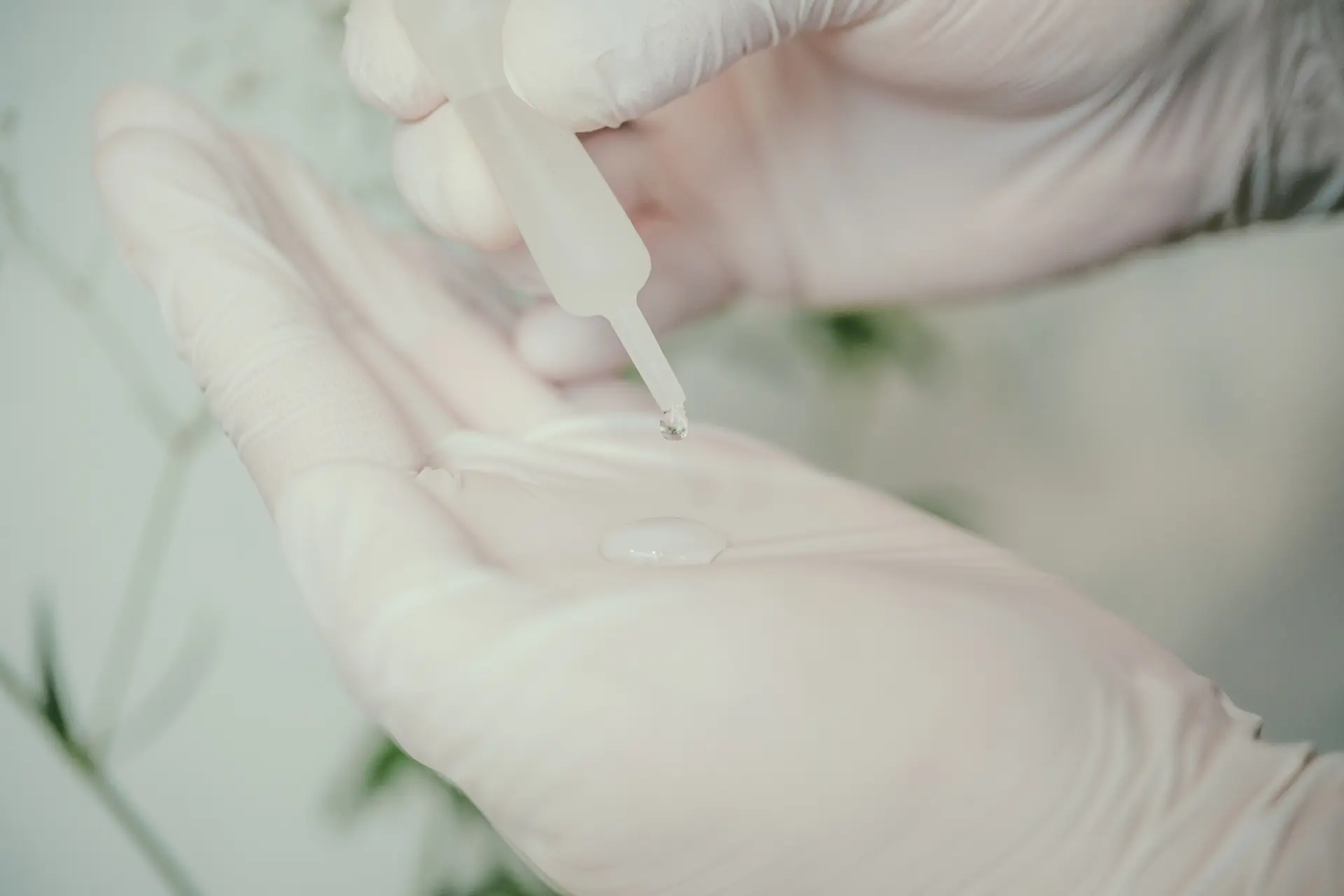 凍結100%非加熱生プラセンタ